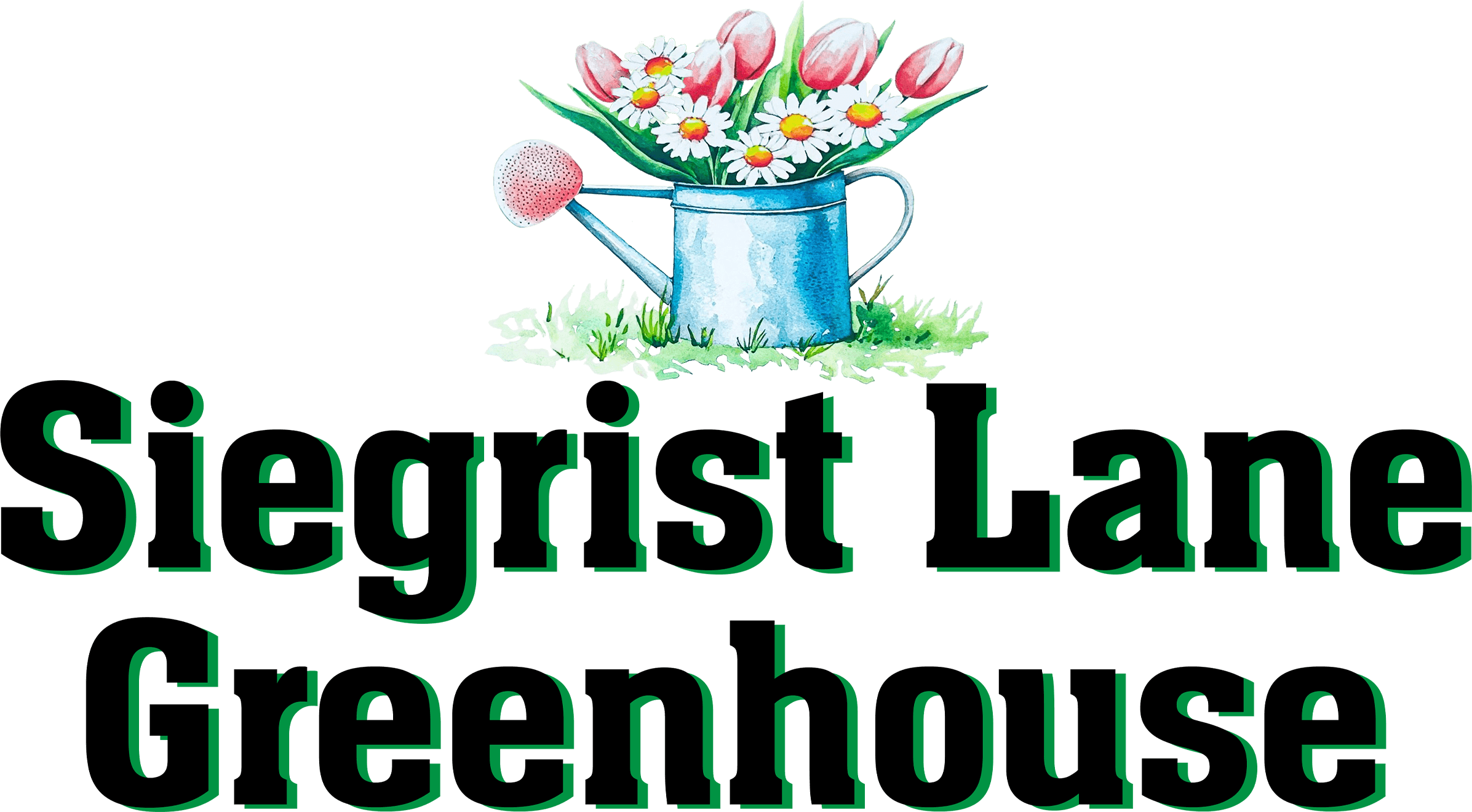 A blue watering can with red tulips and white daisies above the text "Siegrist Lane Greenhouse" in bold black and green letters.