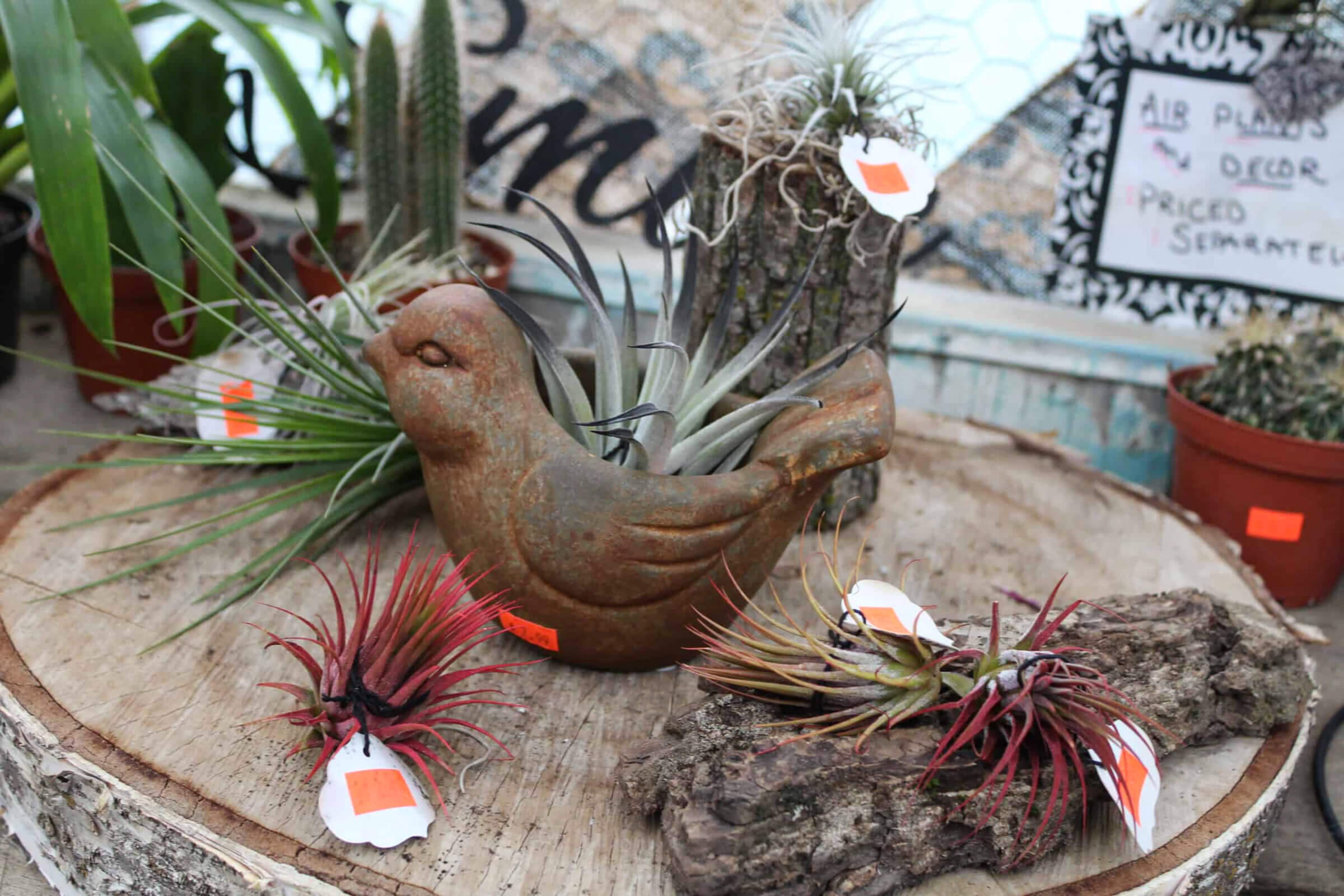 Hoover’s Greenhouse of Leola reallancastercounty