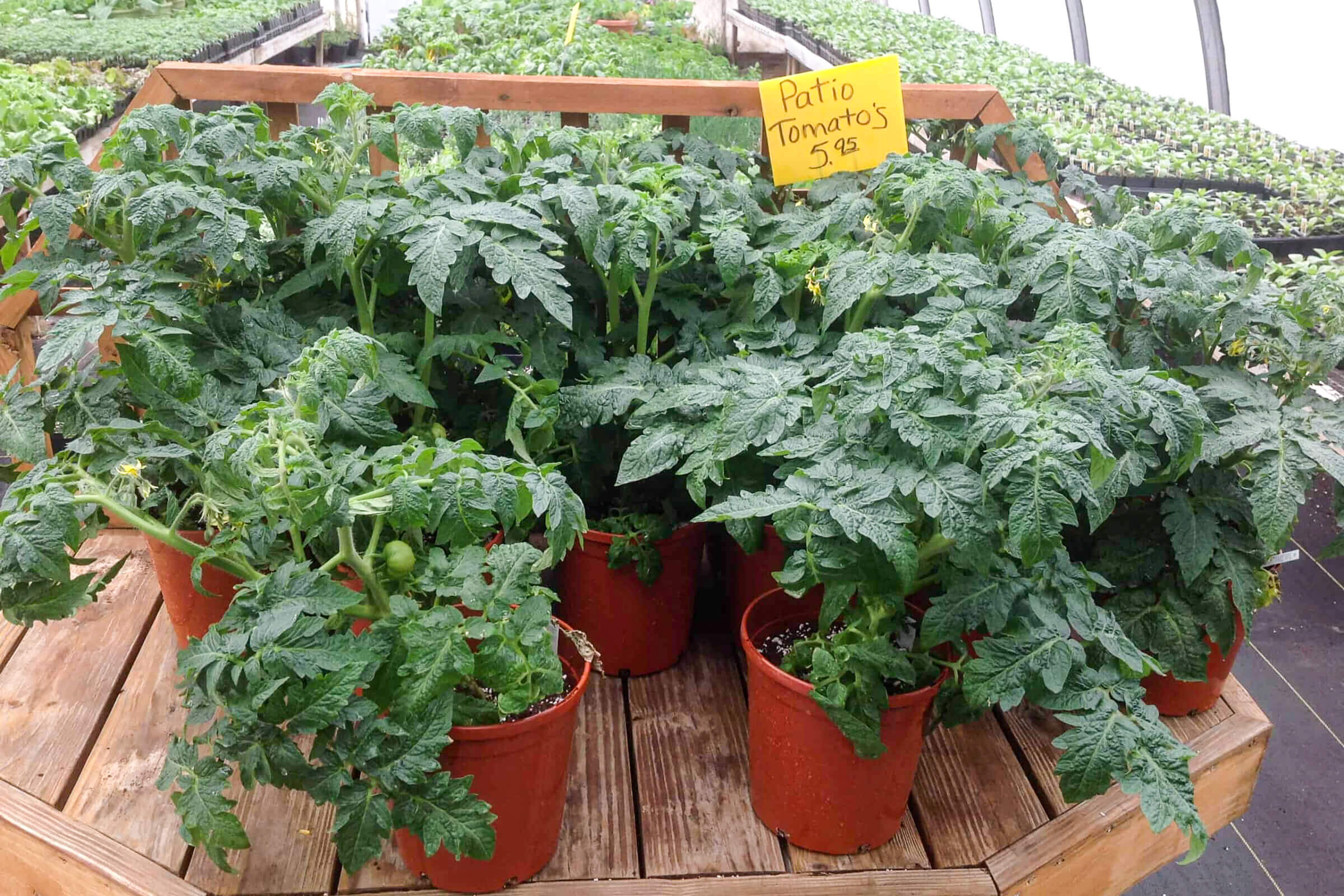 Hoover’s Greenhouse of Leola reallancastercounty