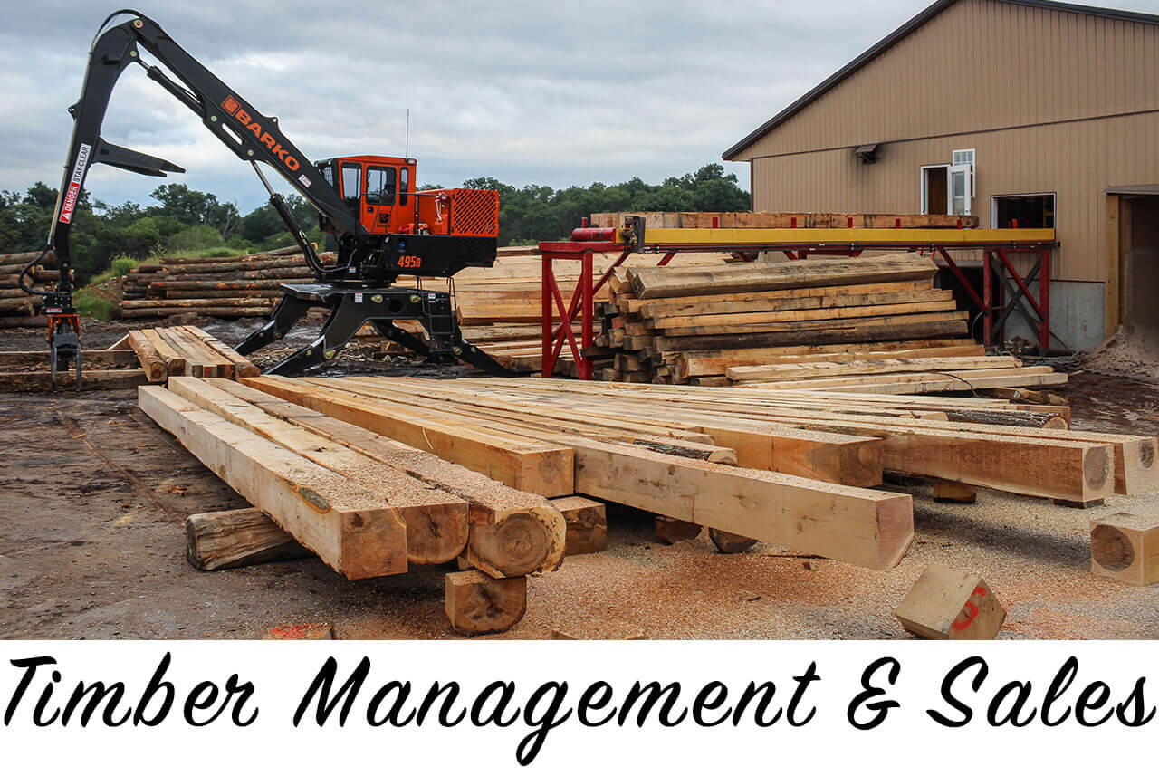 Soapstone Sawmill reallancastercounty