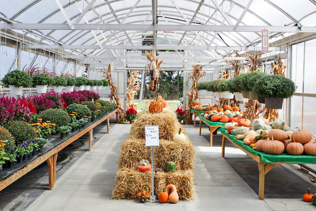 Country View Farm Market reallancastercounty