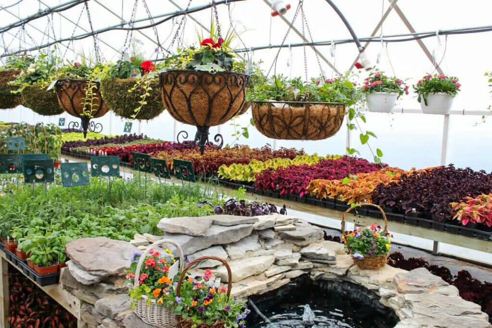 Hoover’s Farm Market and Greenhouses reallancastercounty