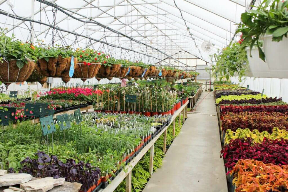 Hoover’s Farm Market and Greenhouses reallancastercounty