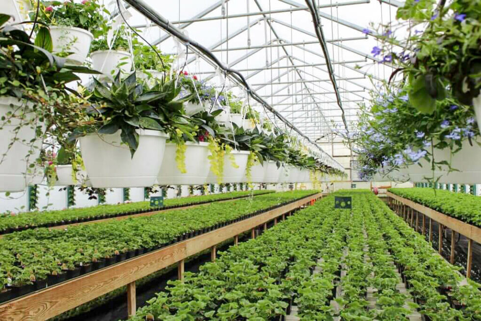 Hoover’s Farm Market and Greenhouses reallancastercounty