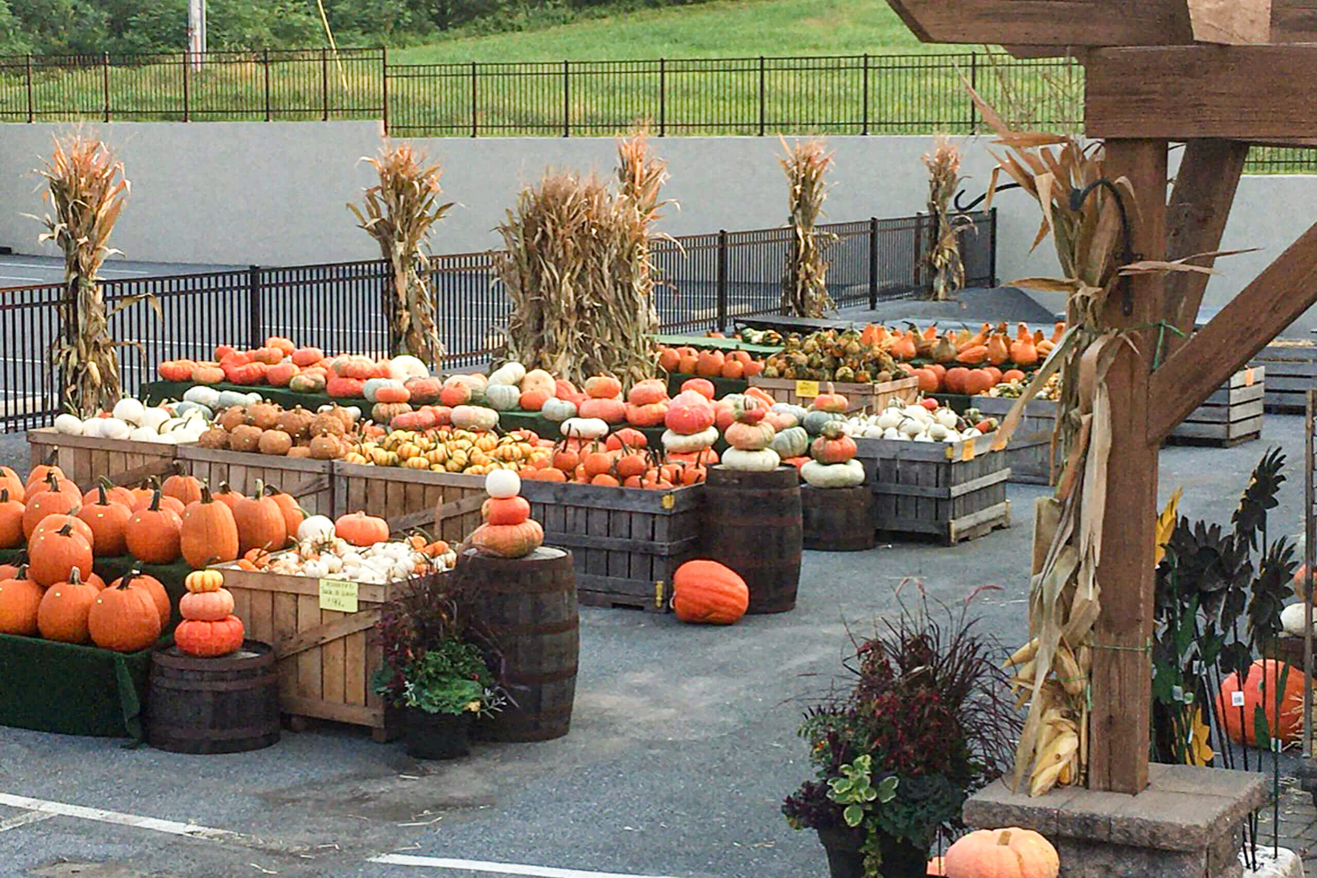 Reiff’s Farm Market and Greenhouse reallancastercounty