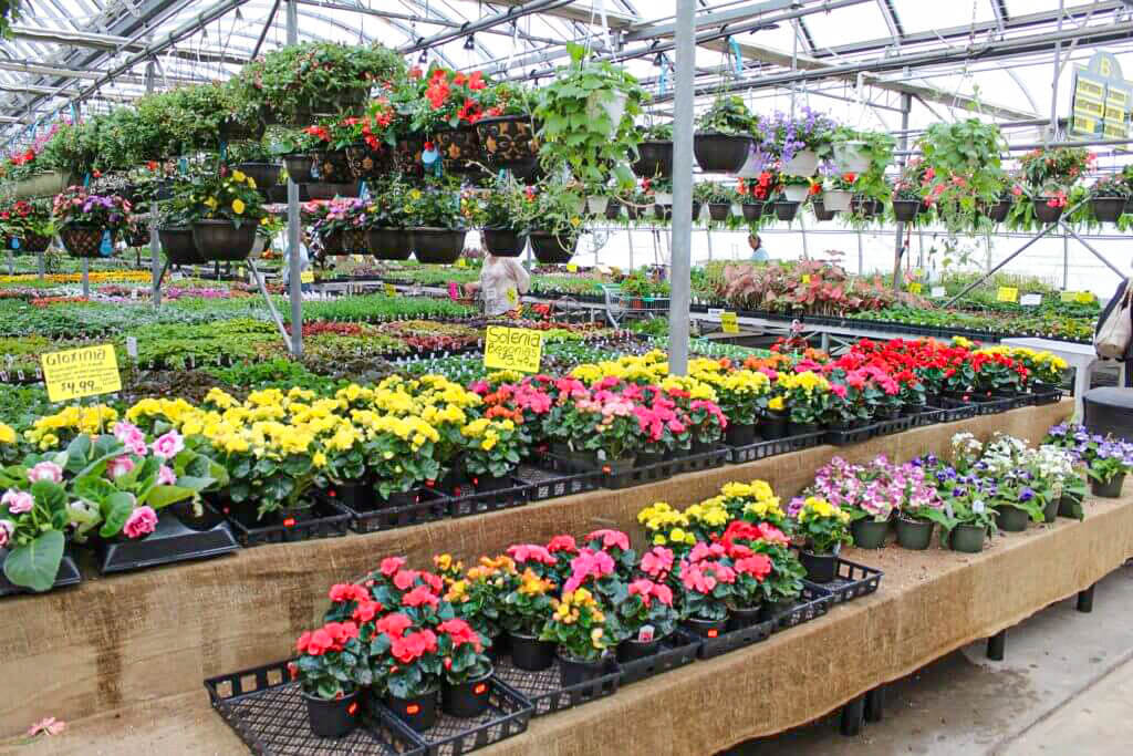 Black Creek Greenhouse | reallancastercounty
