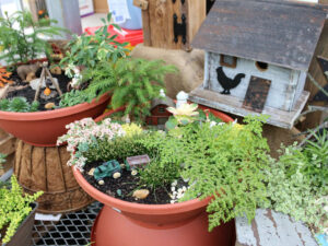 A small garden with potted plants and a birdhouse.