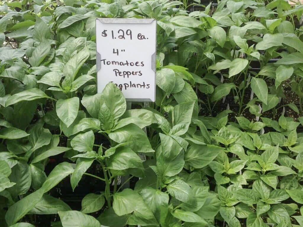 Zimmerman’s Greenhouse reallancastercounty