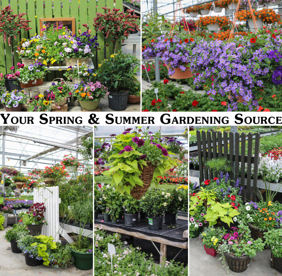 Wenger’s Greenhouse reallancastercounty