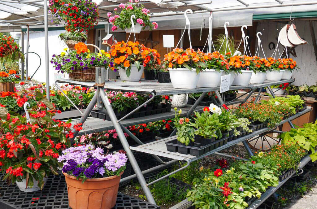 Wayside Produce East Earl PA A flower shop with a lot of potted plants.