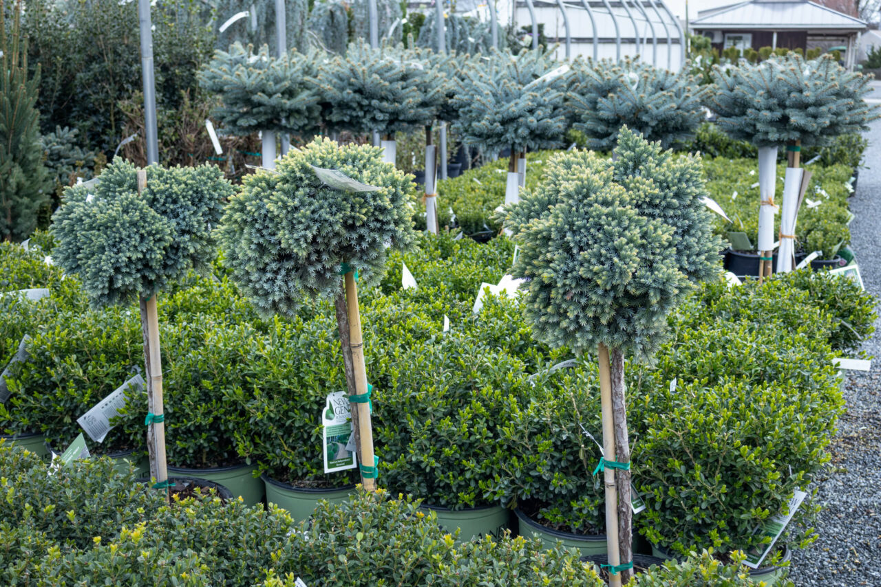 Conestoga Nursery reallancastercounty