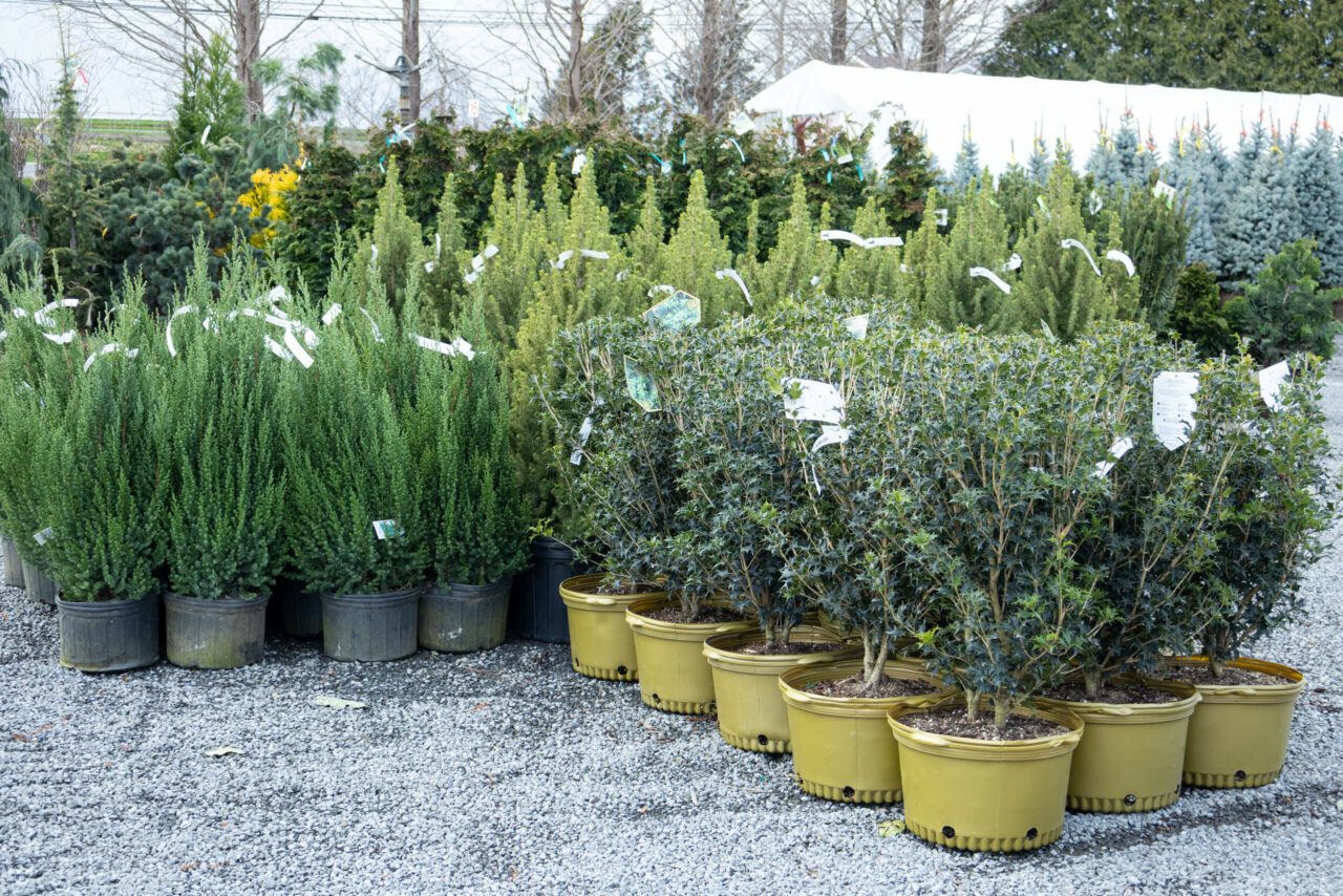 Conestoga Nursery reallancastercounty