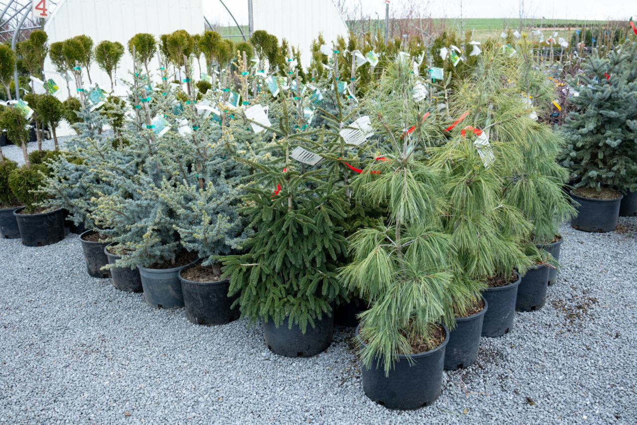 Conestoga Nursery reallancastercounty