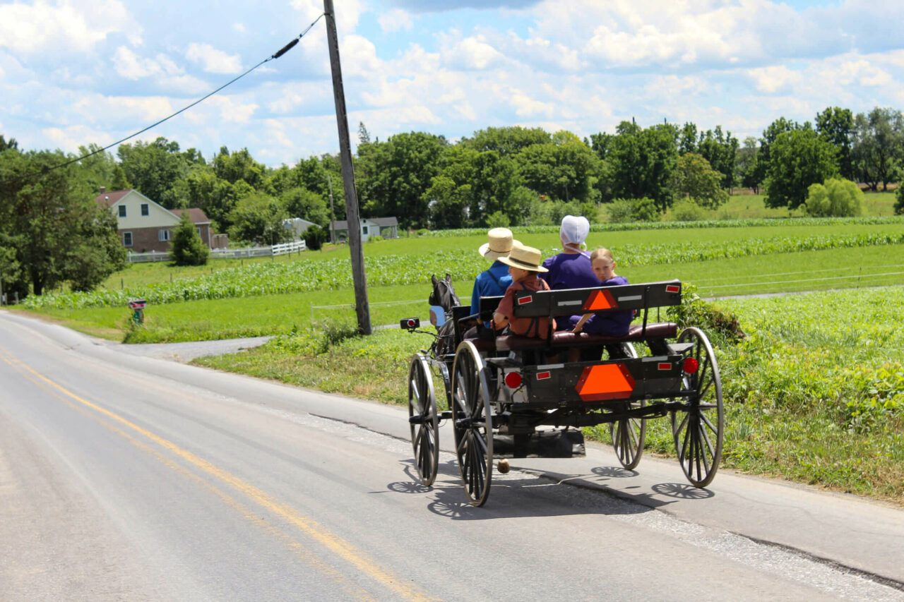 Traditional Buggy Ride Abe’s Buggy Rides | reallancastercounty