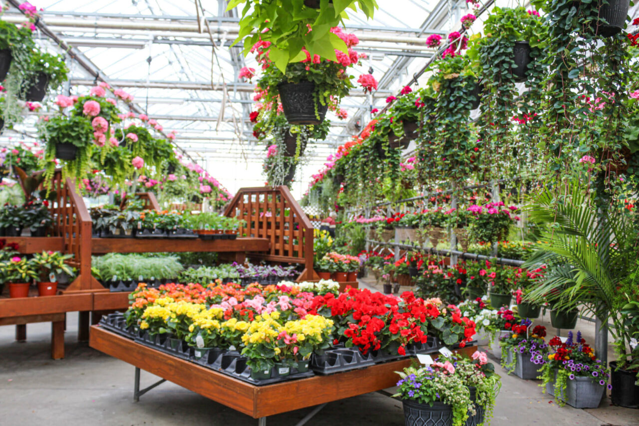 Town’s Edge Garden Center reallancastercounty
