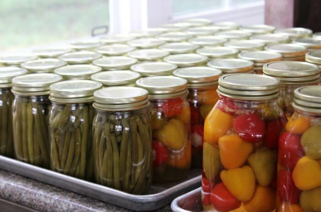 Homegrown Cannery Stand New Holland PA A countertop displays multiple glass jars filled with pickled green beans and colorful peppers.