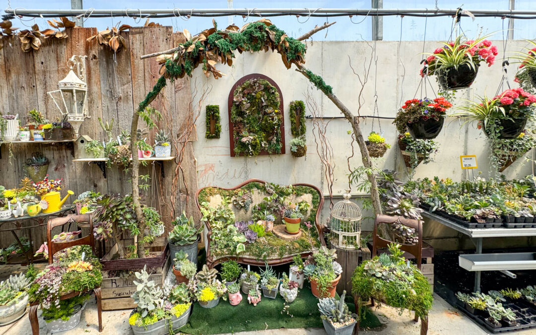 Reiff's Farm Market Ephrata PA A greenhouse display featuring a bench surrounded by various potted plants, hanging baskets with flowers, and rustic wooden decorations.
