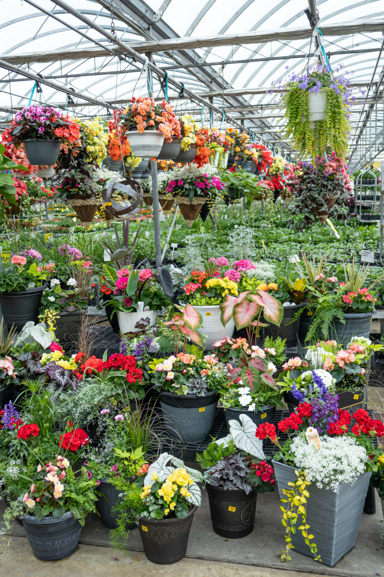 Black Creek Greenhouse - reallancastercounty