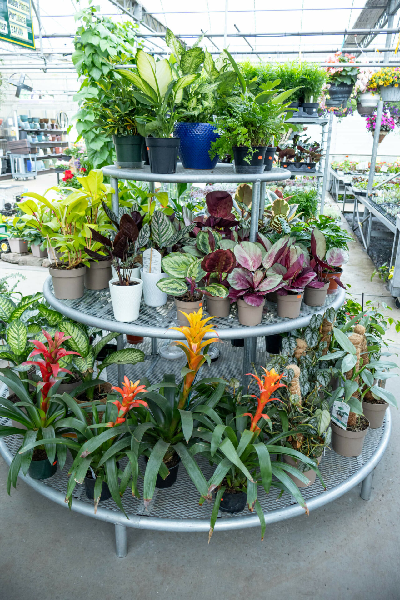 Black Creek Greenhouse - reallancastercounty