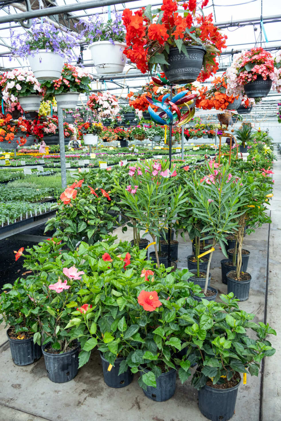 Black Creek Greenhouse - reallancastercounty