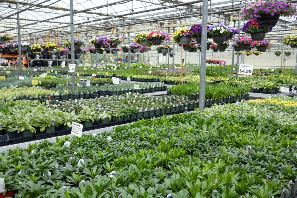 Black Creek Greenhouse - reallancastercounty