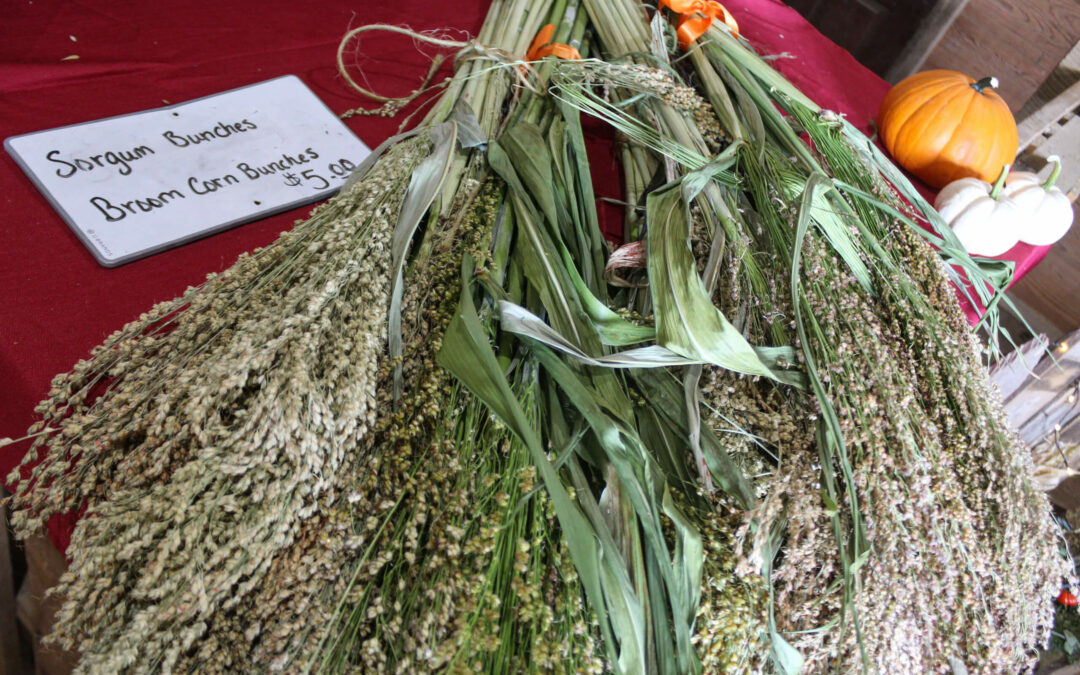 Pine Hill Farms Lititz PA Bundles of sorghum and broom corn are displayed on a table with a sign listing their price as $5.00 each, next to some pumpkins.