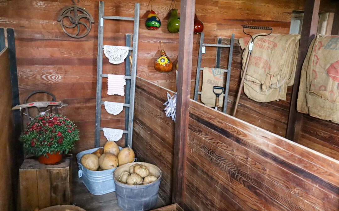 Pine Hill Farms Lititz PA A rustic wooden antique store with various farm tools, burlap sacks, pumpkins in metal tubs, gourds hanging from hooks, and potted red flowers.