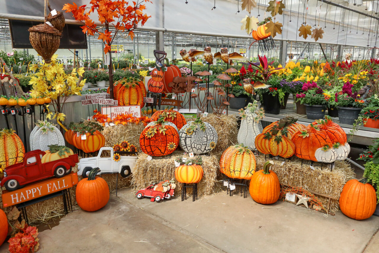 Black Creek Greenhouse - reallancastercounty