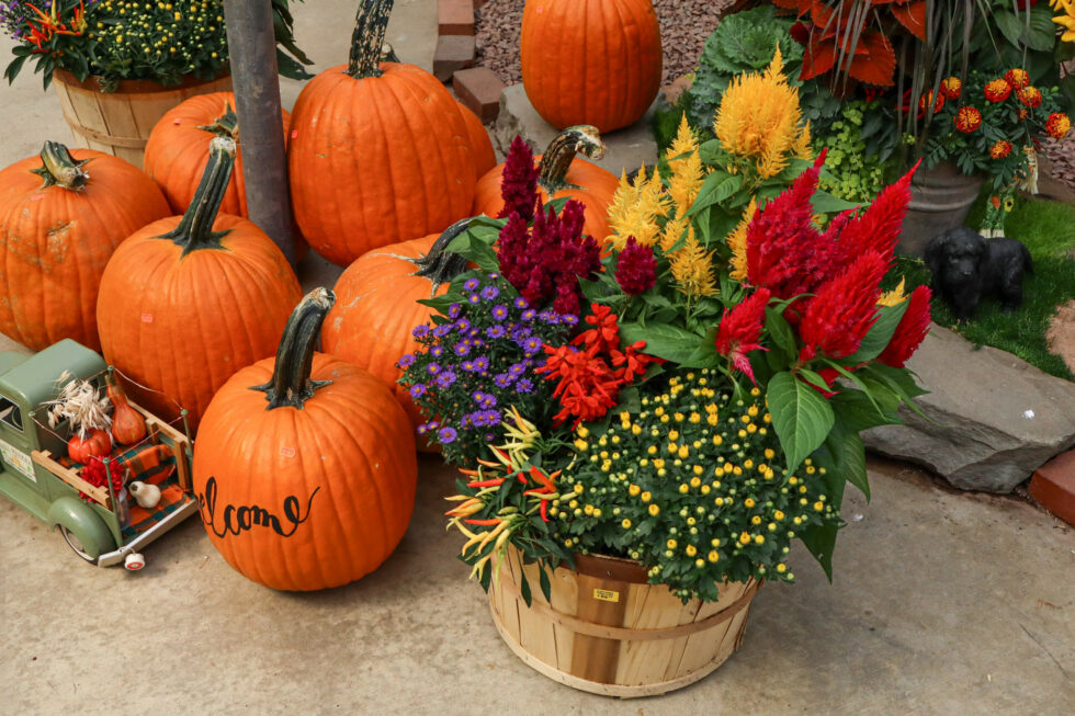 Black Creek Greenhouse - reallancastercounty