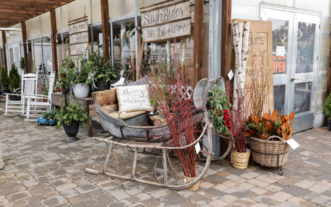 Reiff's Farm Market Ephrata PA A rustic storefront features a decorative sled with greenery and a "Merry & Bright" cushion, surrounded by plants, baskets, and seasonal decor. Signs advertise sled rides and an open shop.