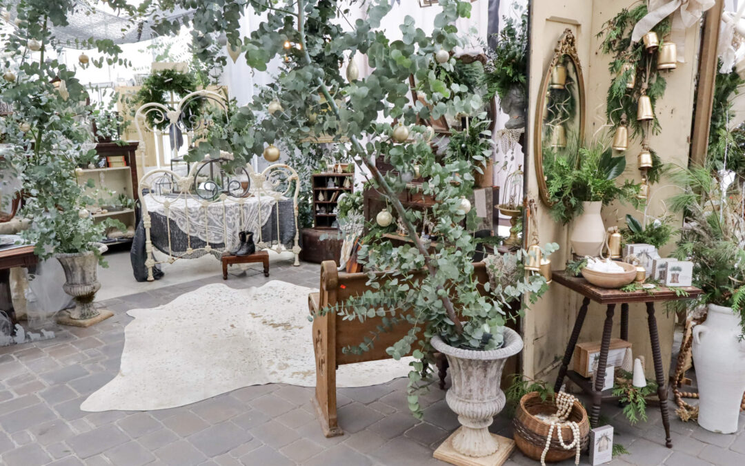 Reiff's Farm Market Ephrata PA Decorative indoor setting with plants, vintage furniture, mirrors, and a cozy atmosphere.