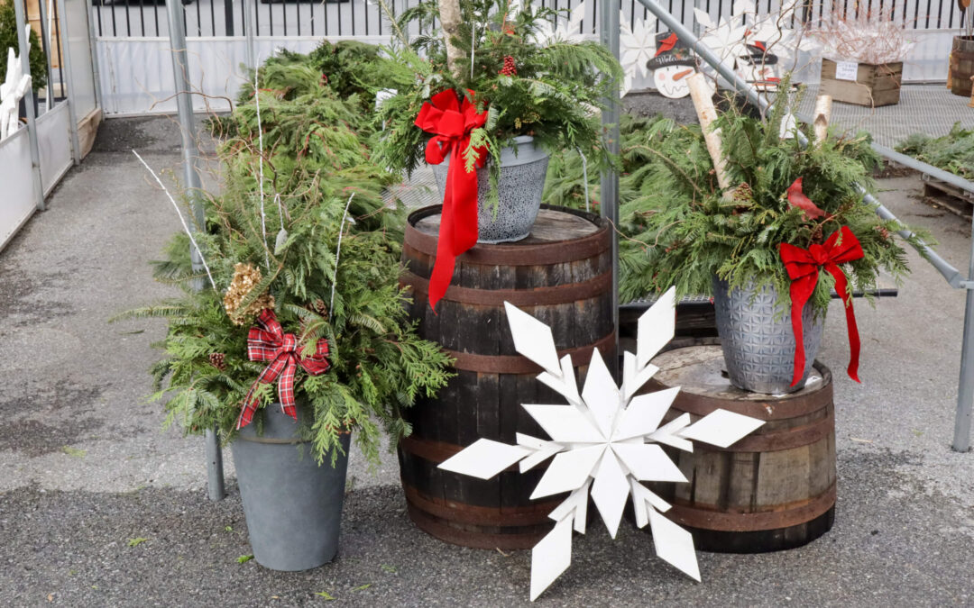 Reiff's Farm Market Ephrata PA Holiday decorations featuring evergreen plants in pots with red ribbons and a large white snowflake on wooden barrels.