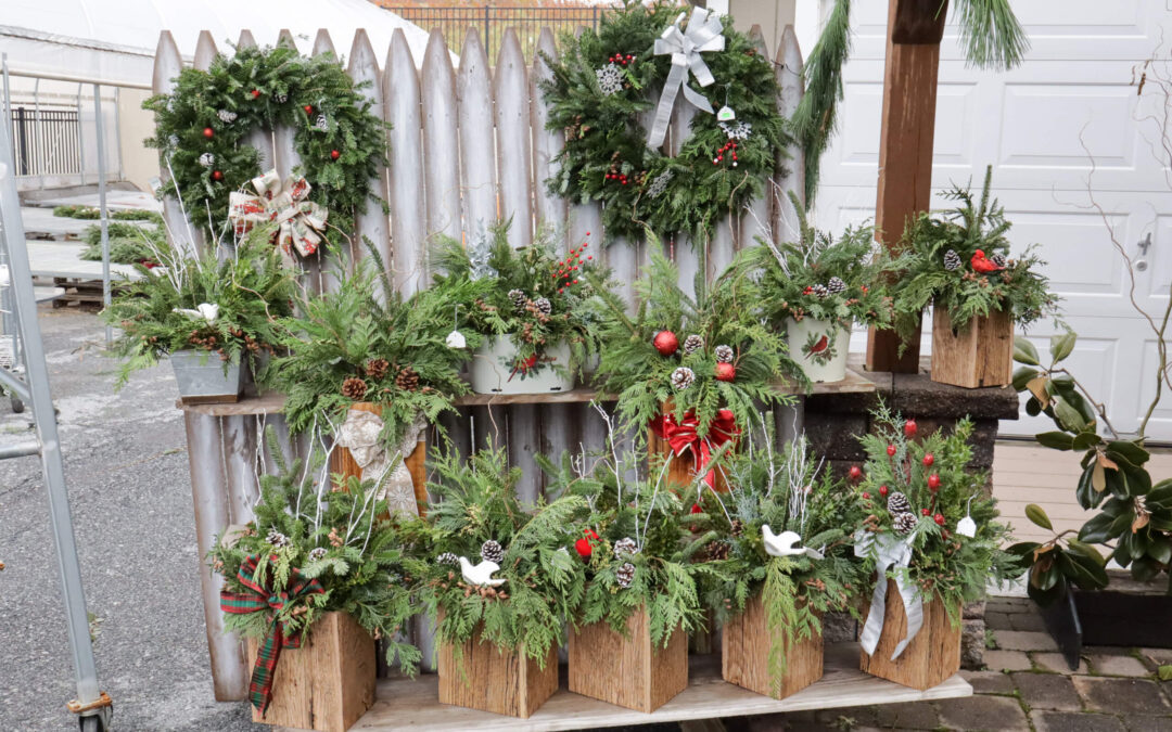 Reiff's Farm Market Ephrata PA Wooden boxes filled with evergreen arrangements, pine cones, and ornaments displayed on wooden racks against a picket fence with wreaths.