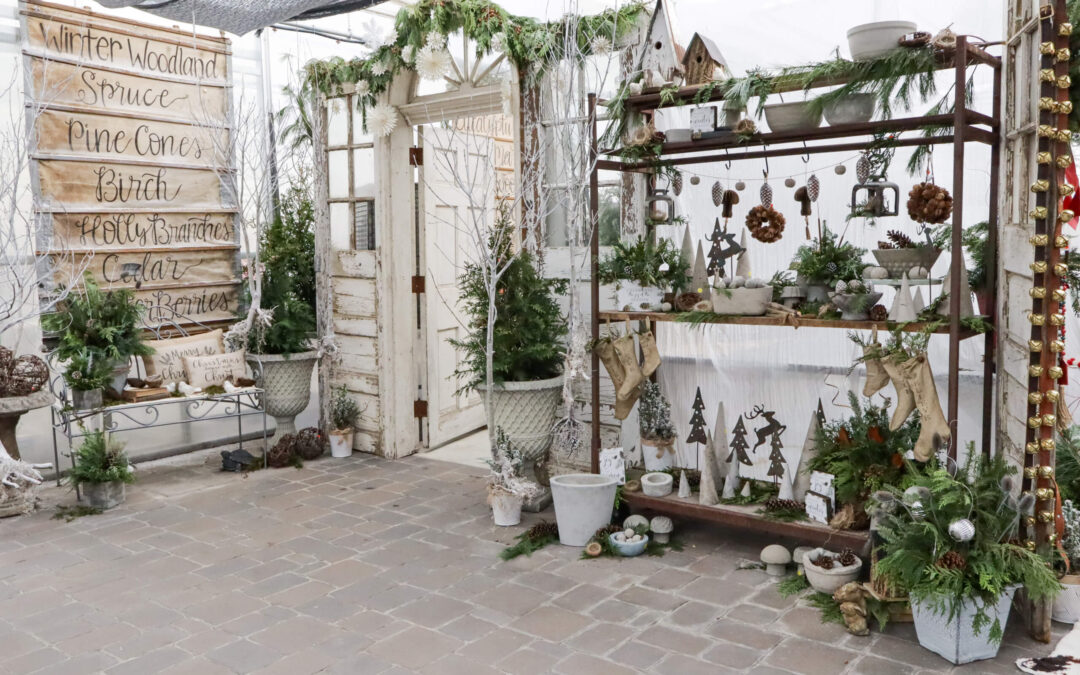Reiff's Farm Market Ephrata PA A rustic display in a greenhouse features wooden shelves with small potted plants, winter decor, birdhouses, and signs with nature-themed words.