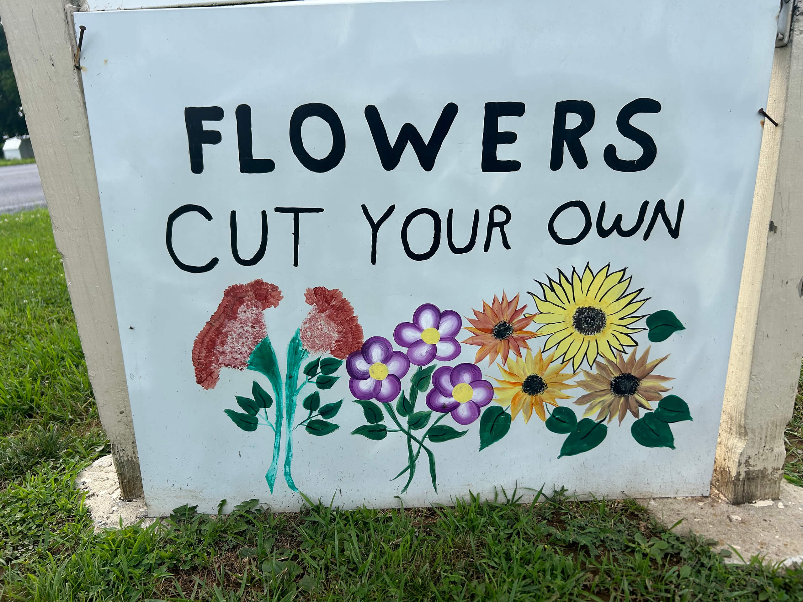 A painted sign reads "FLOWERS CUT YOUR OWN" above illustrations of red, purple, yellow, and orange flowers on a grassy area.