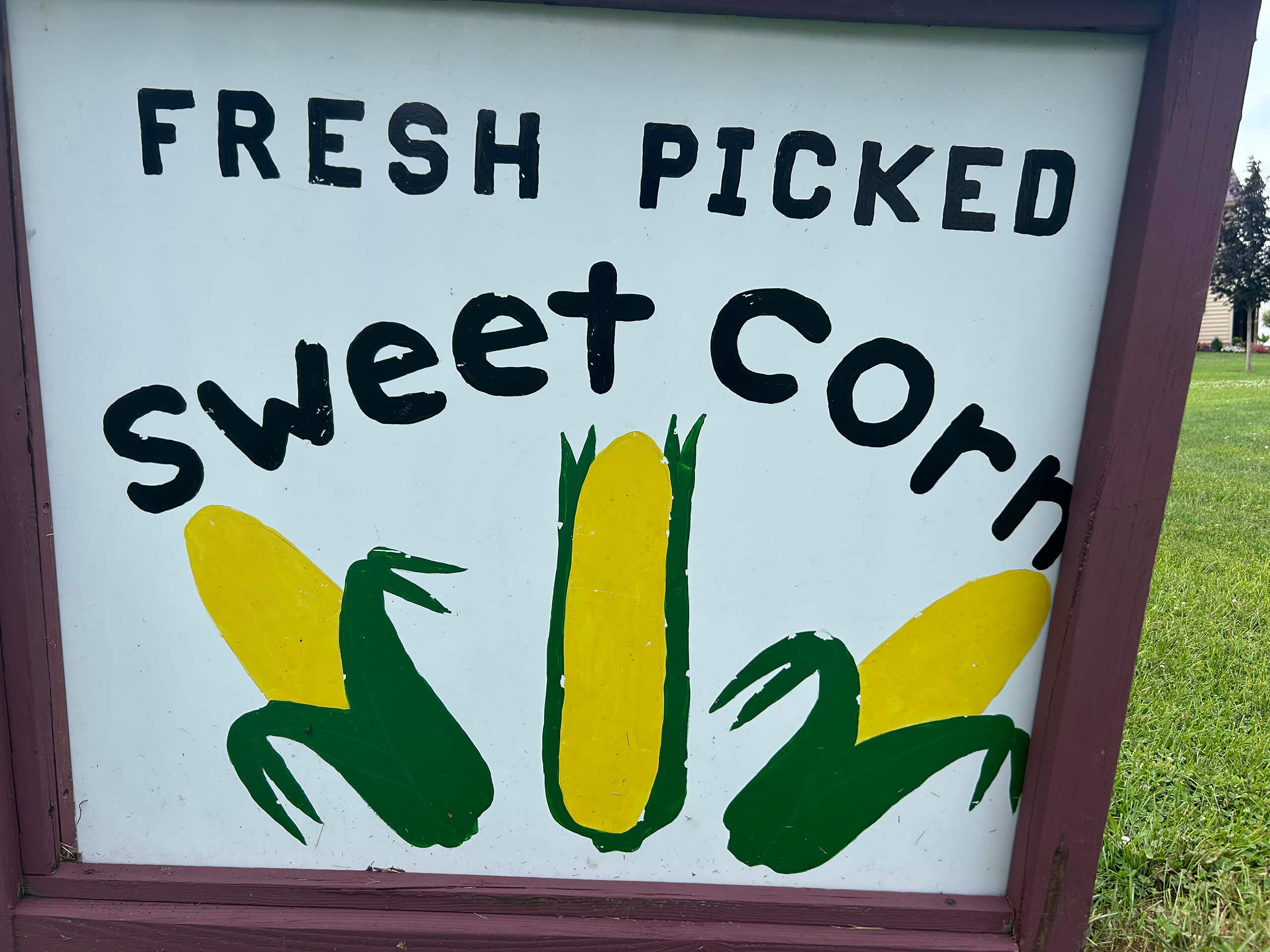 A sign with the words "Fresh Picked Sweet Corn" and illustrations of three ears of corn with green husks and yellow kernels.