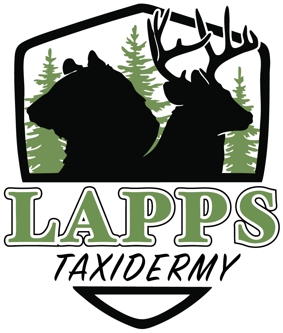A logo featuring the silhouettes of a bear and a deer with trees in the background, and the text "LAPPS TAXIDERMY" in bold, green and black lettering.