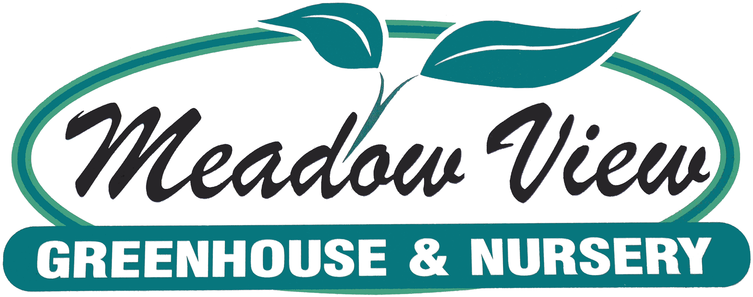 Logo for Meadow View Greenhouse & Nursery featuring two green leaves above the name in cursive, with a green oval border and bold green text below.