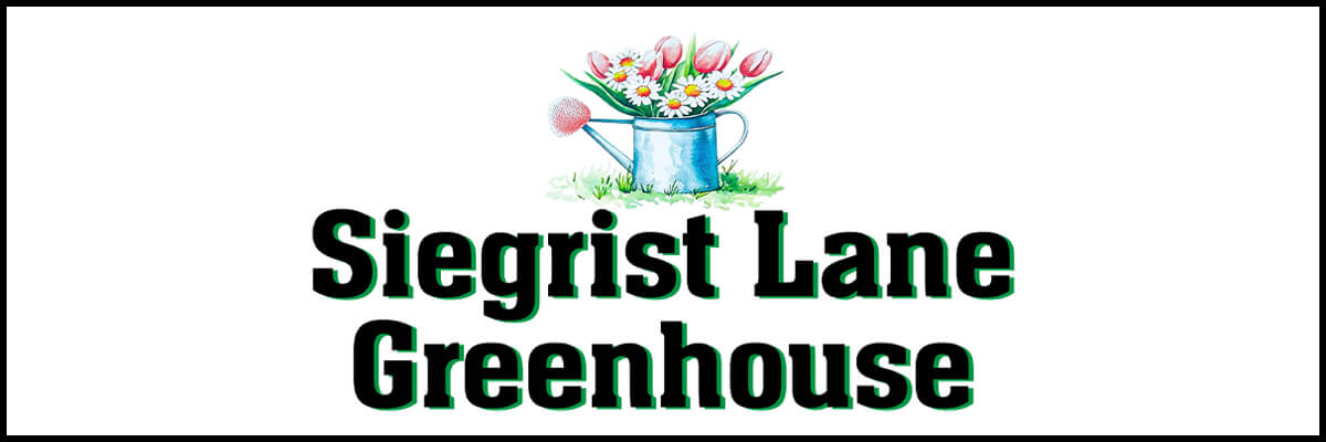 Logo for Siegrist Lane Greenhouse featuring a watering can filled with colorful flowers above bold black and green text on a white background.