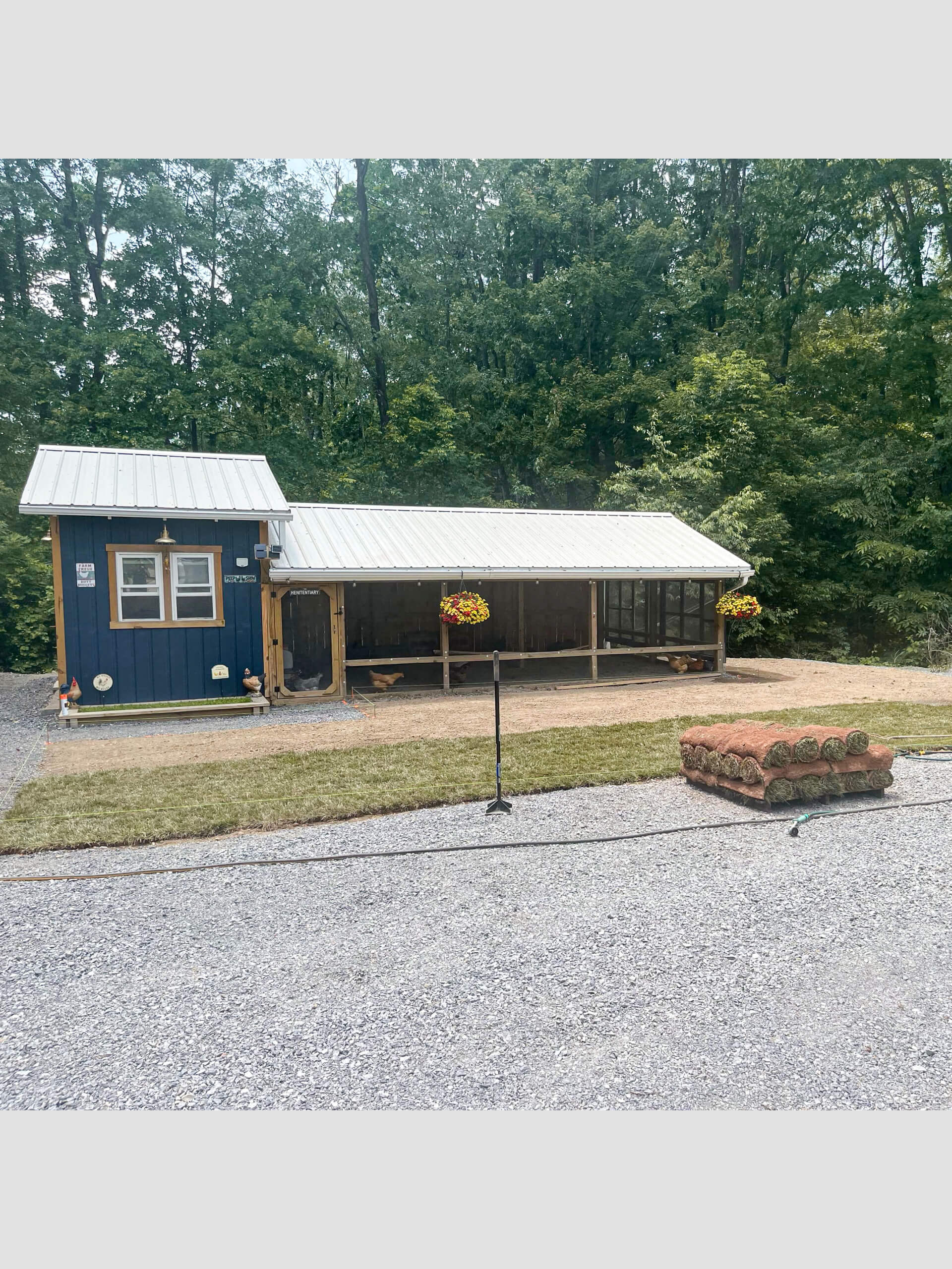 Town's Edge Garden Center New Holland, PA A small blue building with a metal roof sits near a wooded area; fresh sod rolls and patches of new grass are in the foreground, with hanging flower baskets on the porch.