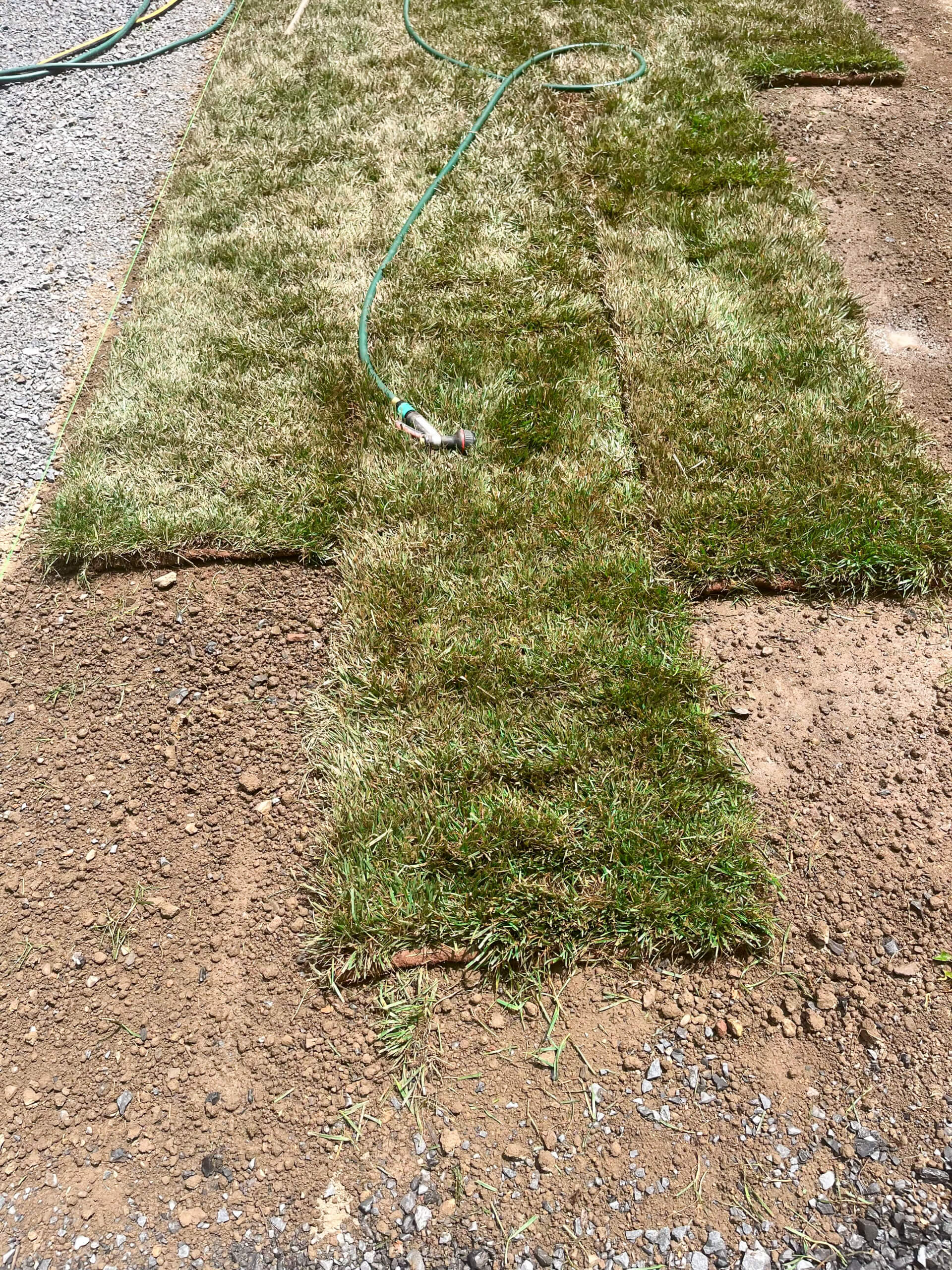 Town's Edge Garden Center New Holland, PA Several rolls of sod are laid on bare soil next to a gravel path, with a green garden hose lying across the grass.