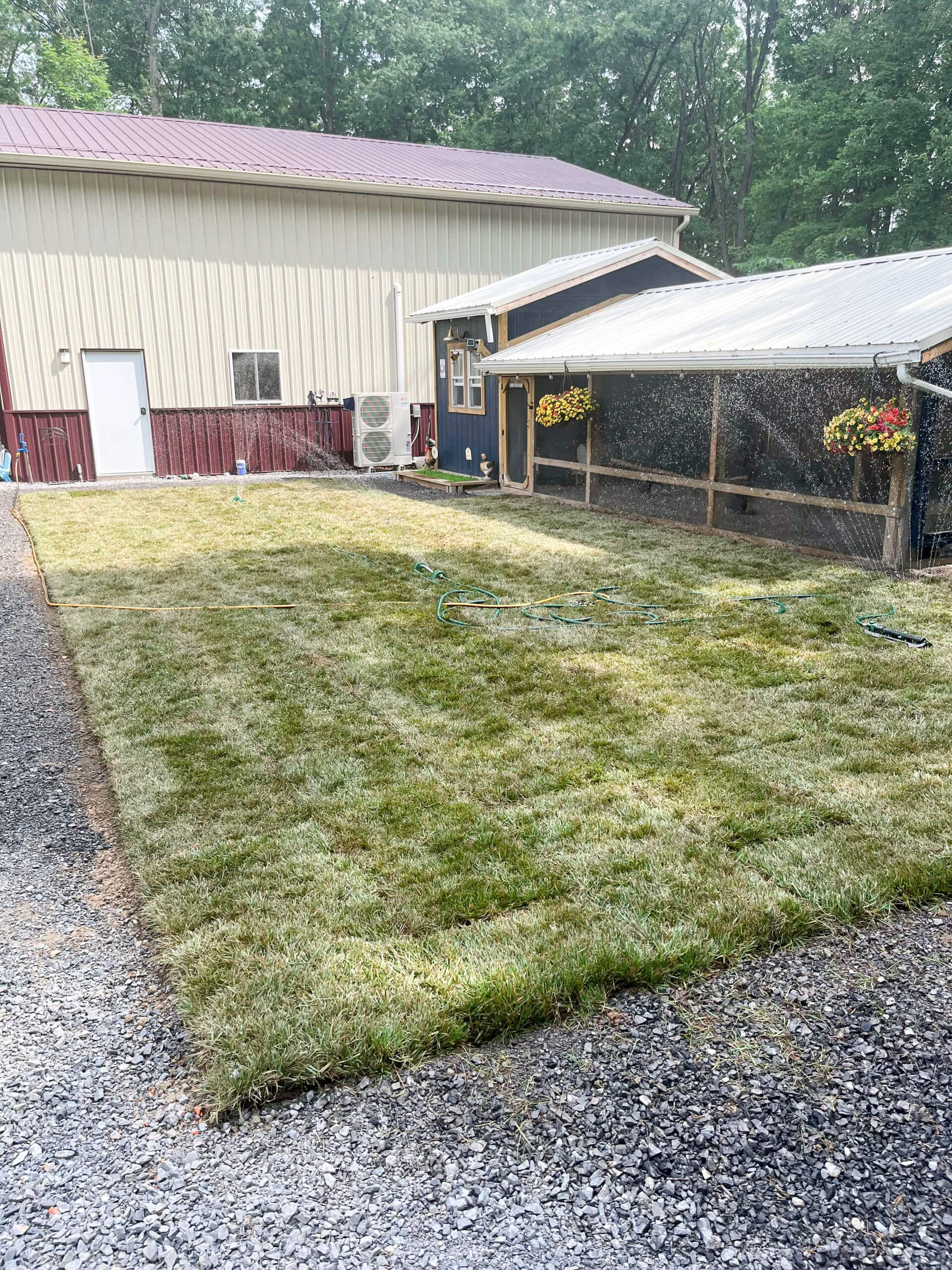 Town's Edge Garden Center New Holland, PA A backyard with freshly laid sod, a garden hose on the grass, and a beige building with red trim and flower baskets on the side.