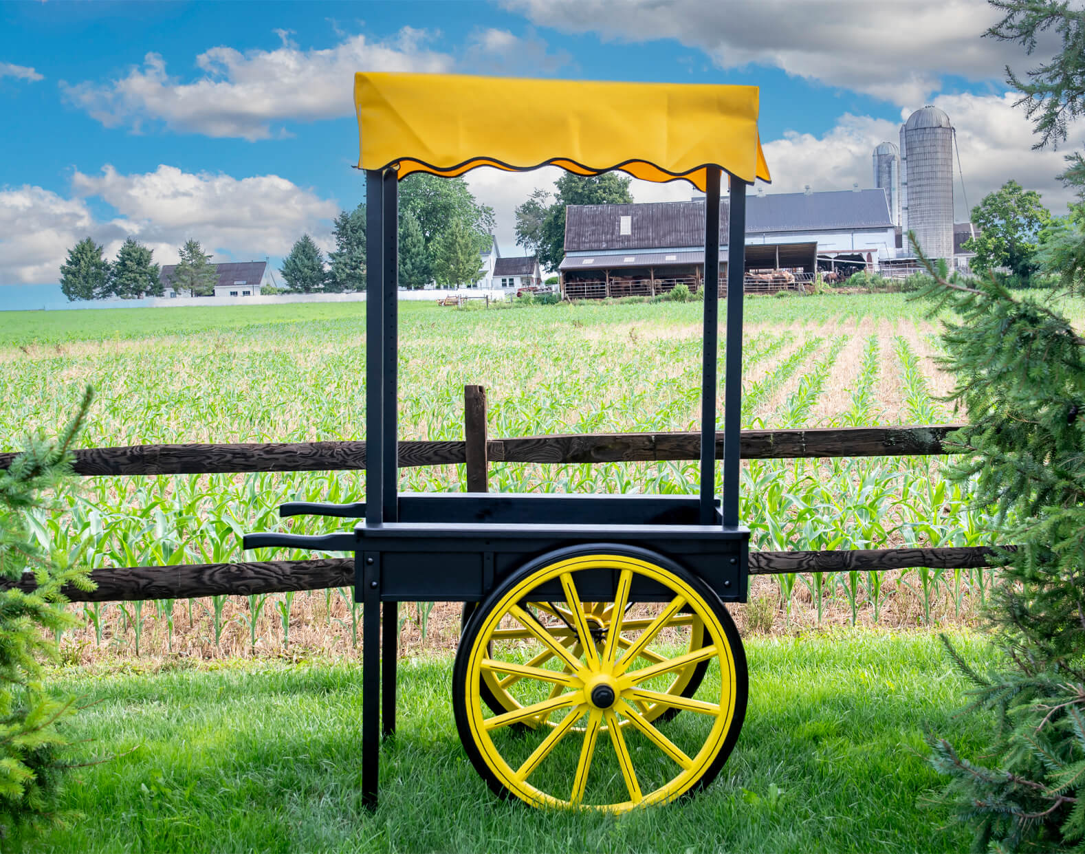 7.8.26 Spring Valley Woodworking Wagons Gallery 1 A black cart with yellow wheels and a yellow canopy stands on grass in front of a wooden fence, with a farm and cornfield in the background under a partly cloudy sky.