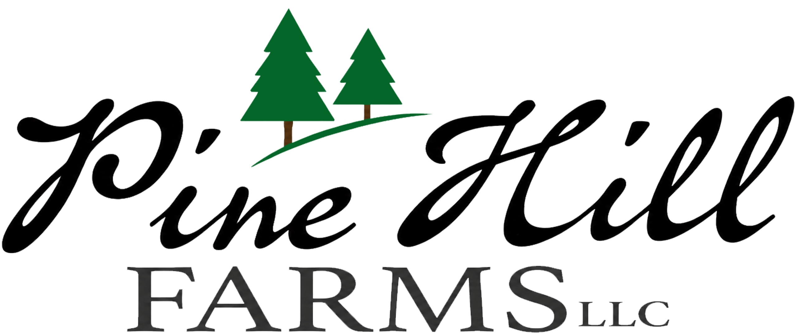 Logo with two green pine trees above the words “Pine Hill” in black script and “Farms LLC” in gray capital letters below.