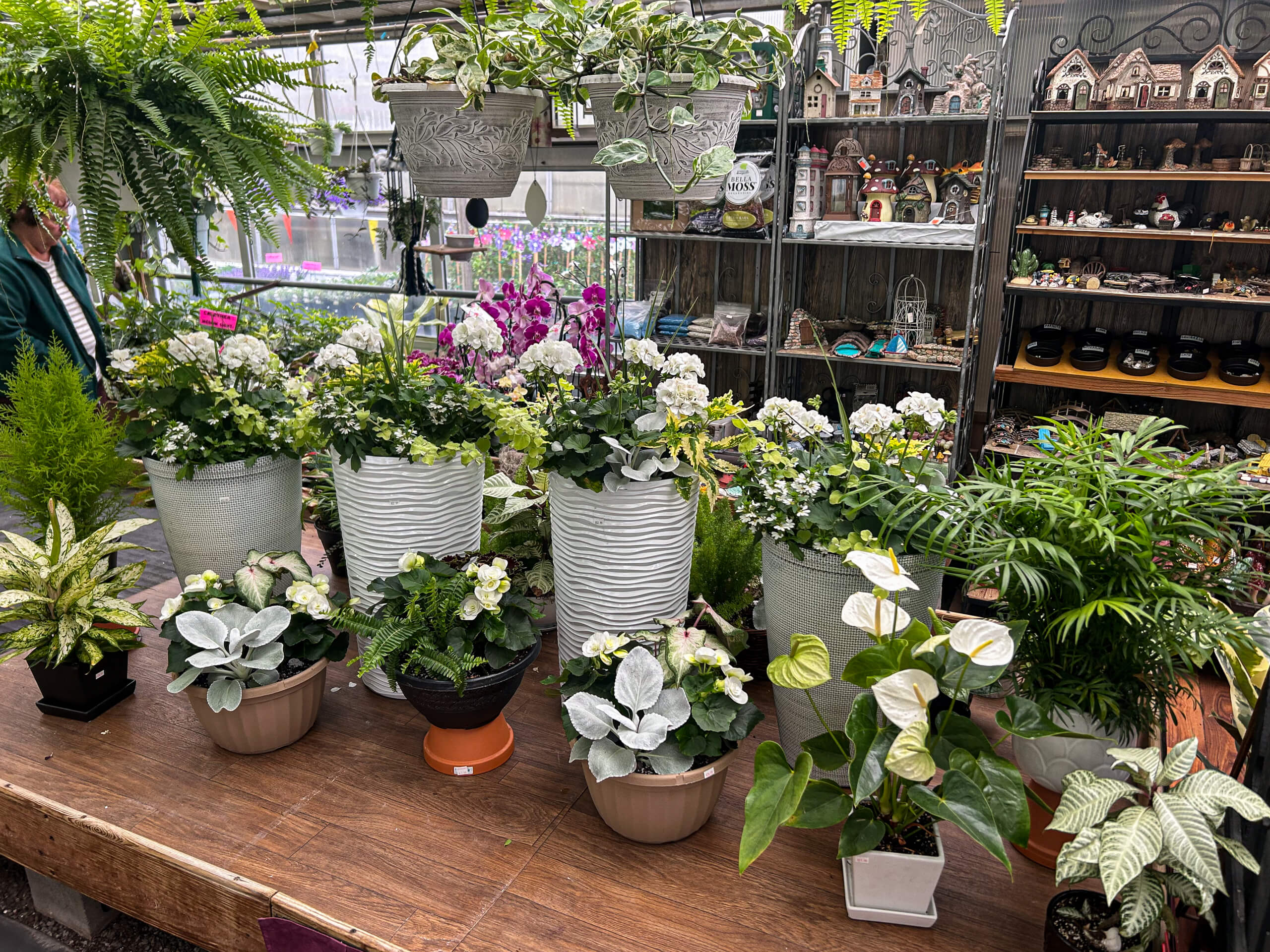 Willow Brook Greenhouse Honey Brook, PA Various potted plants and flowers are arranged on a wooden table inside a garden center, with shelves of decor items and more plants in the background.