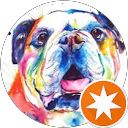 English Bully